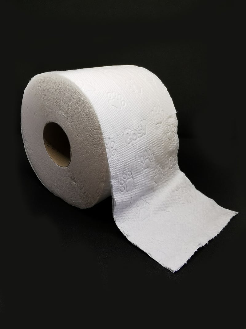 Toilet paper roll binoculars